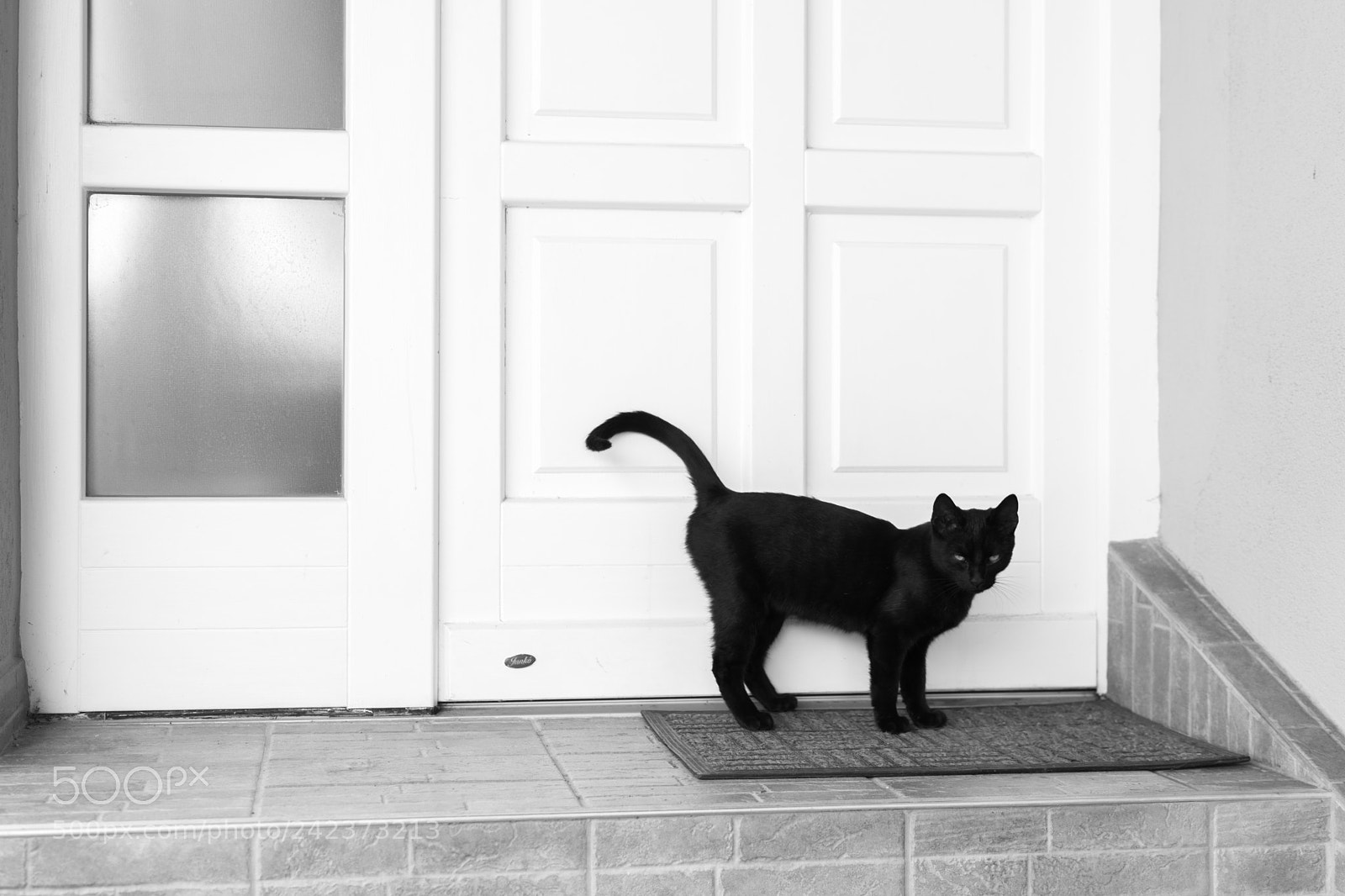 Nikon D7100 sample photo. 01-15.jpg photography