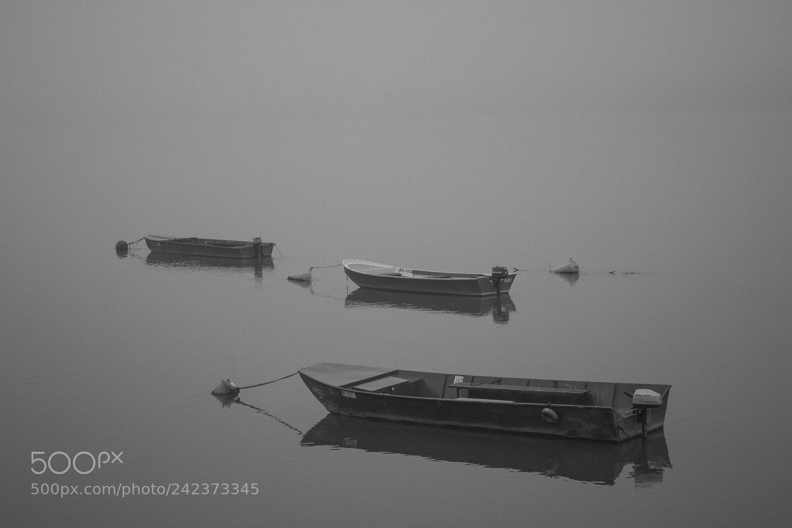 Canon EOS 60D sample photo. Foggy morning photography