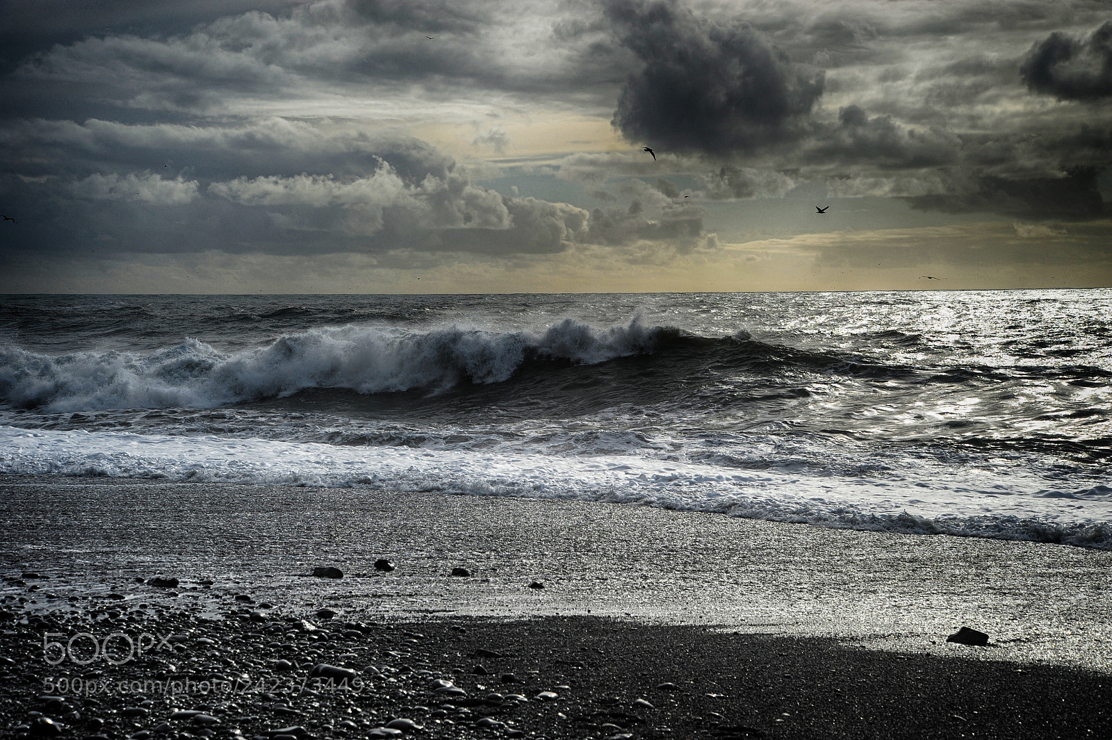 Nikon D700 sample photo. Hiver en islande photography
