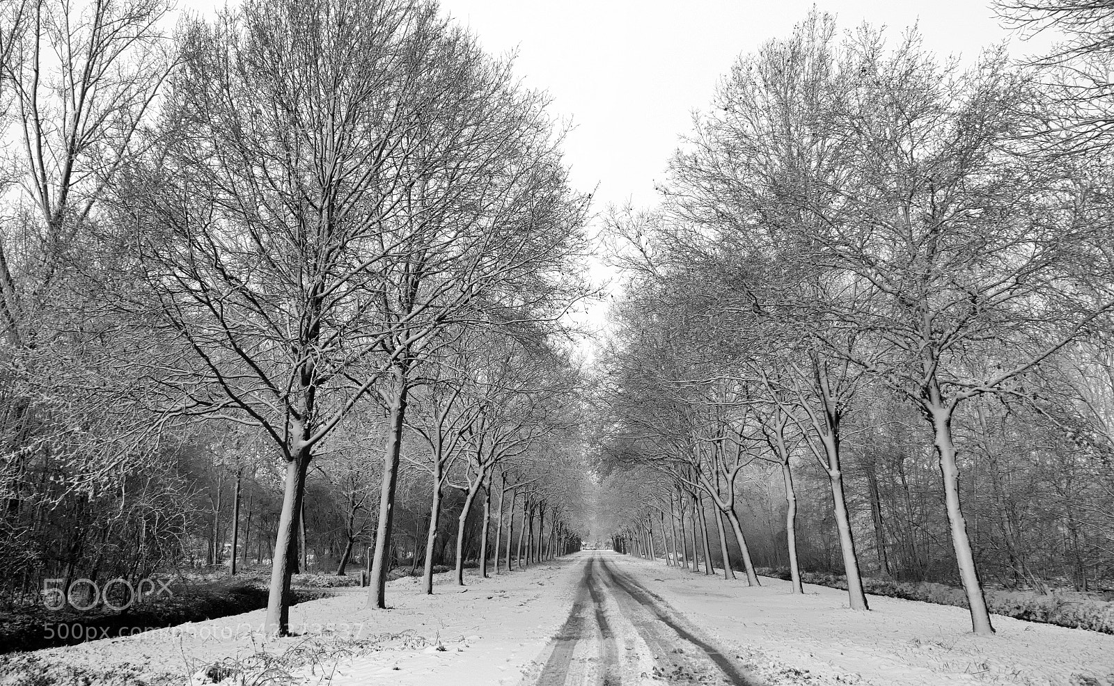 Panasonic Lumix DMC-ZS100 (Lumix DMC-TZ100) sample photo. Snowy winter photography
