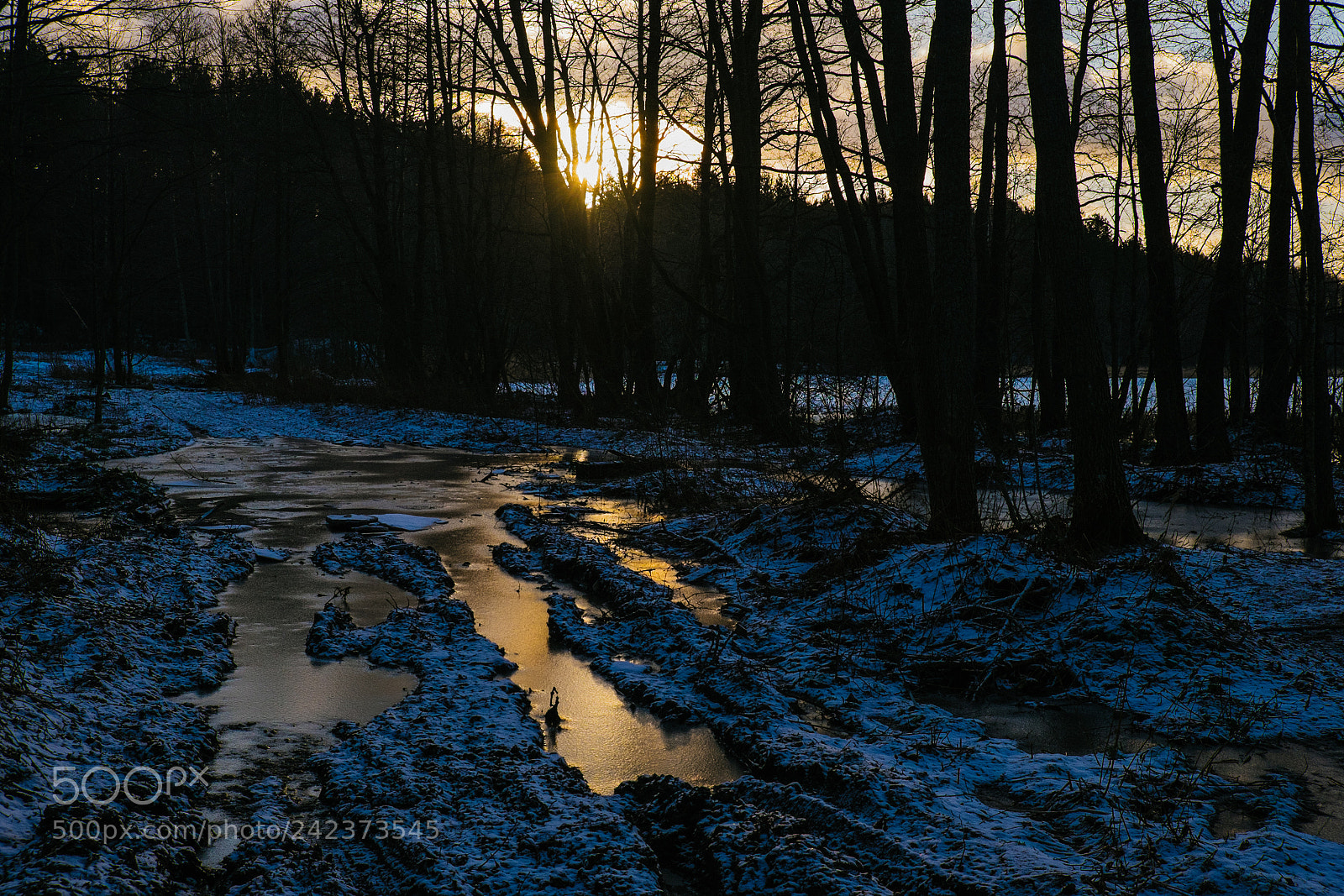 Fujifilm X-T1 sample photo. Frost photography