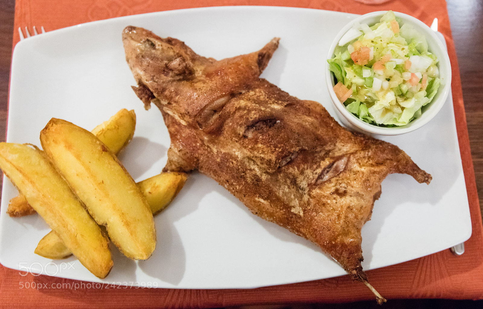 Canon EOS 5DS R sample photo. Fried guinea pig photography