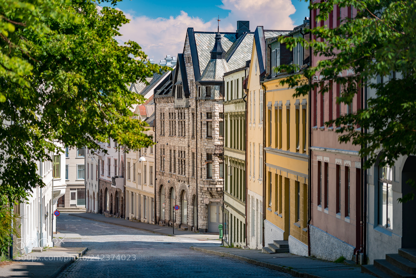 Nikon D800 sample photo. Alesund old city view photography