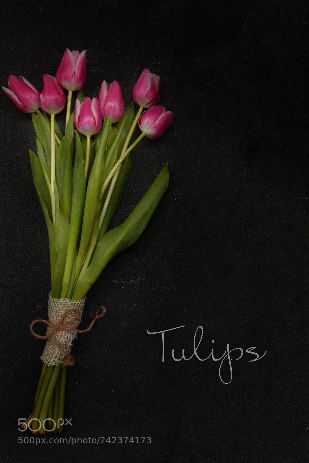 Nikon D5200 sample photo. Tulips ?? photography