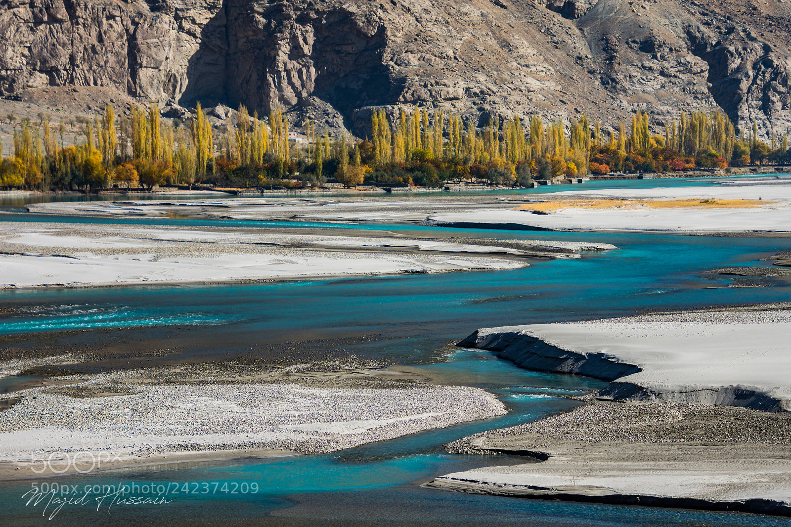Nikon D7200 sample photo. Autumn treeline across river photography