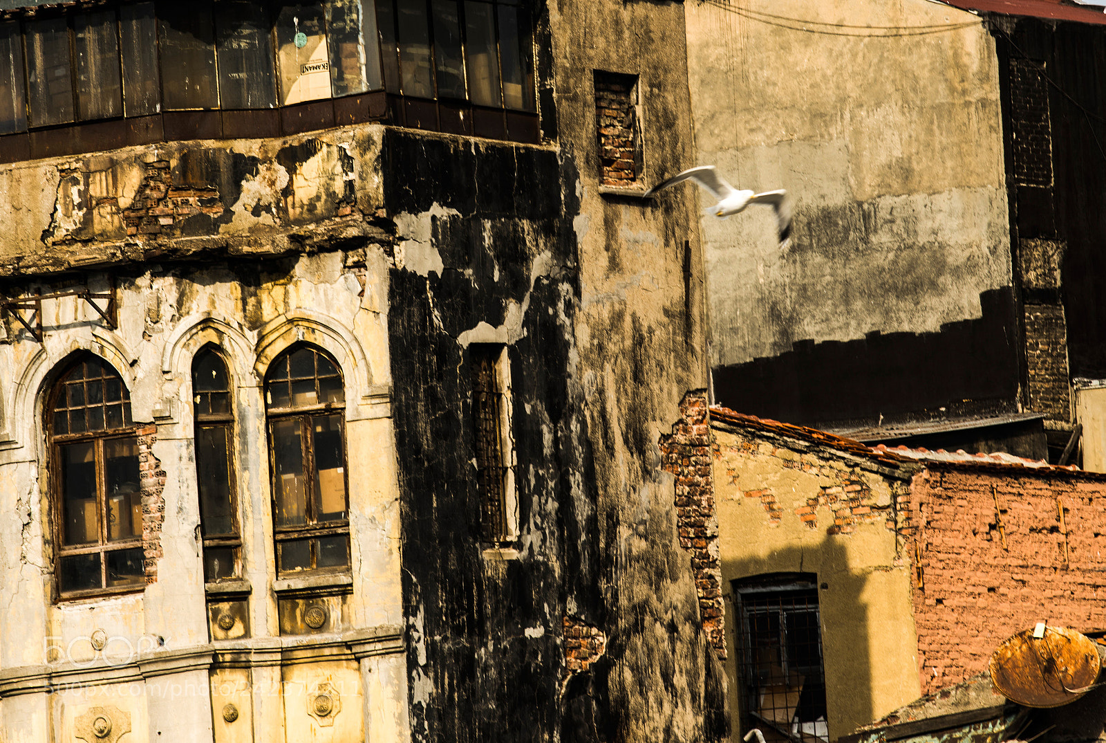 Nikon D800 sample photo. Istanbul. orhan pamuk inspired photography