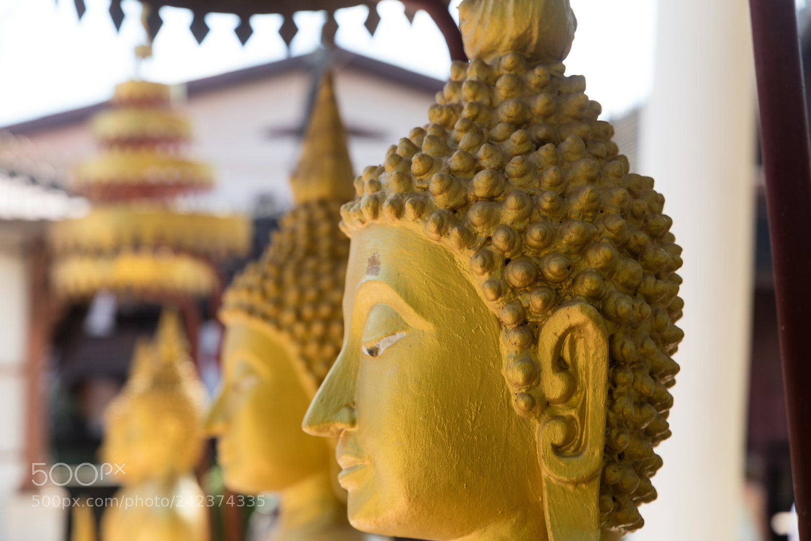 Canon EOS 5DS R sample photo. Vientiane, laos buddha in photography