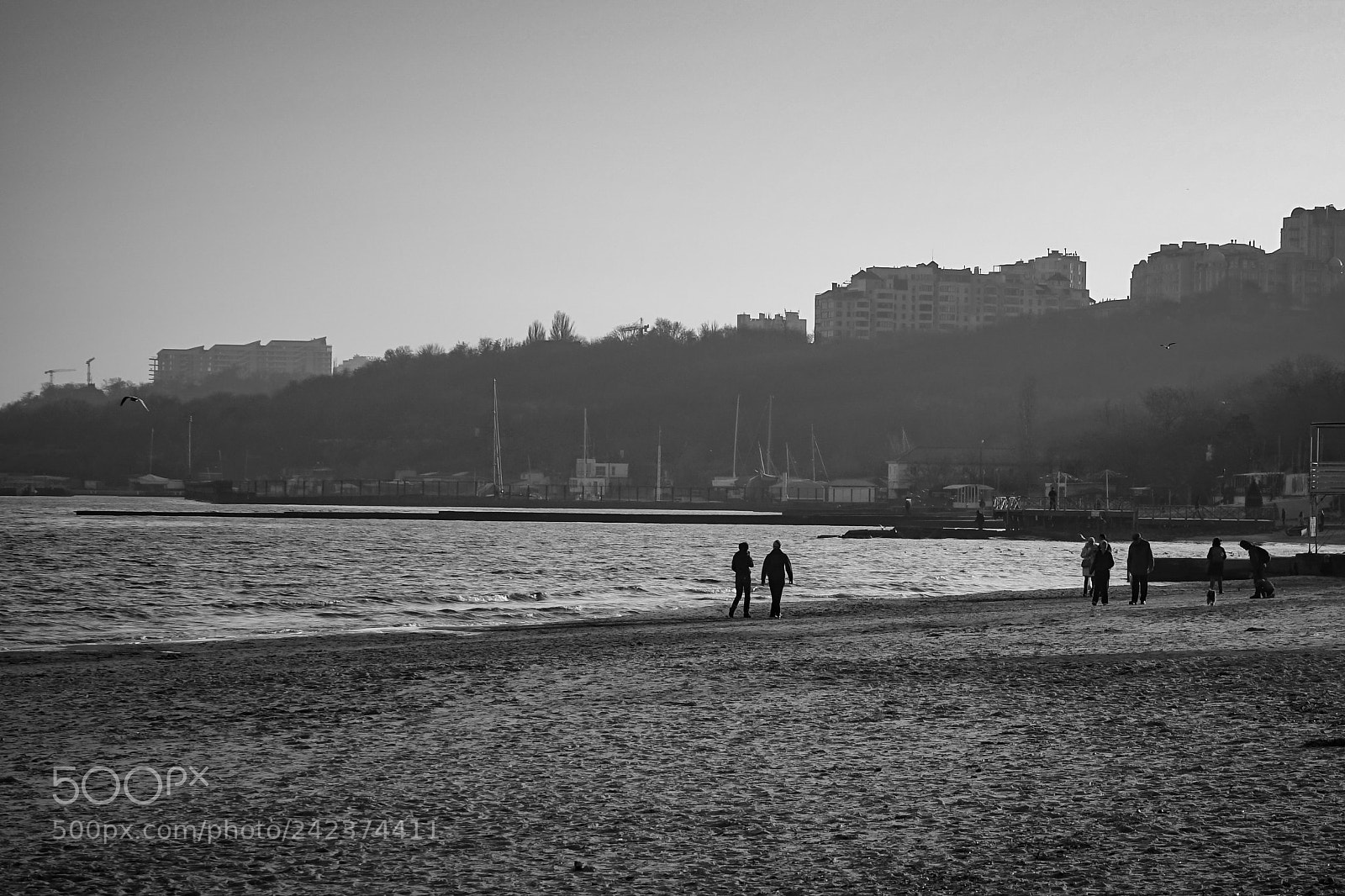 Sony a7 sample photo. Beach in odessa, ukraine. photography