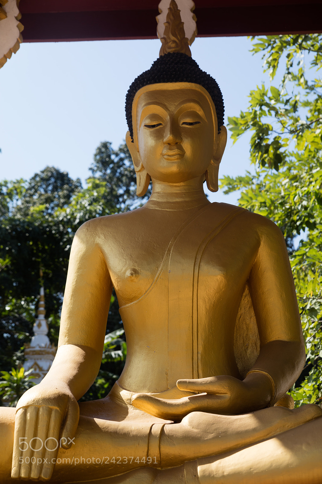 Canon EOS 5DS R sample photo. Vientiane, laos buddha in photography