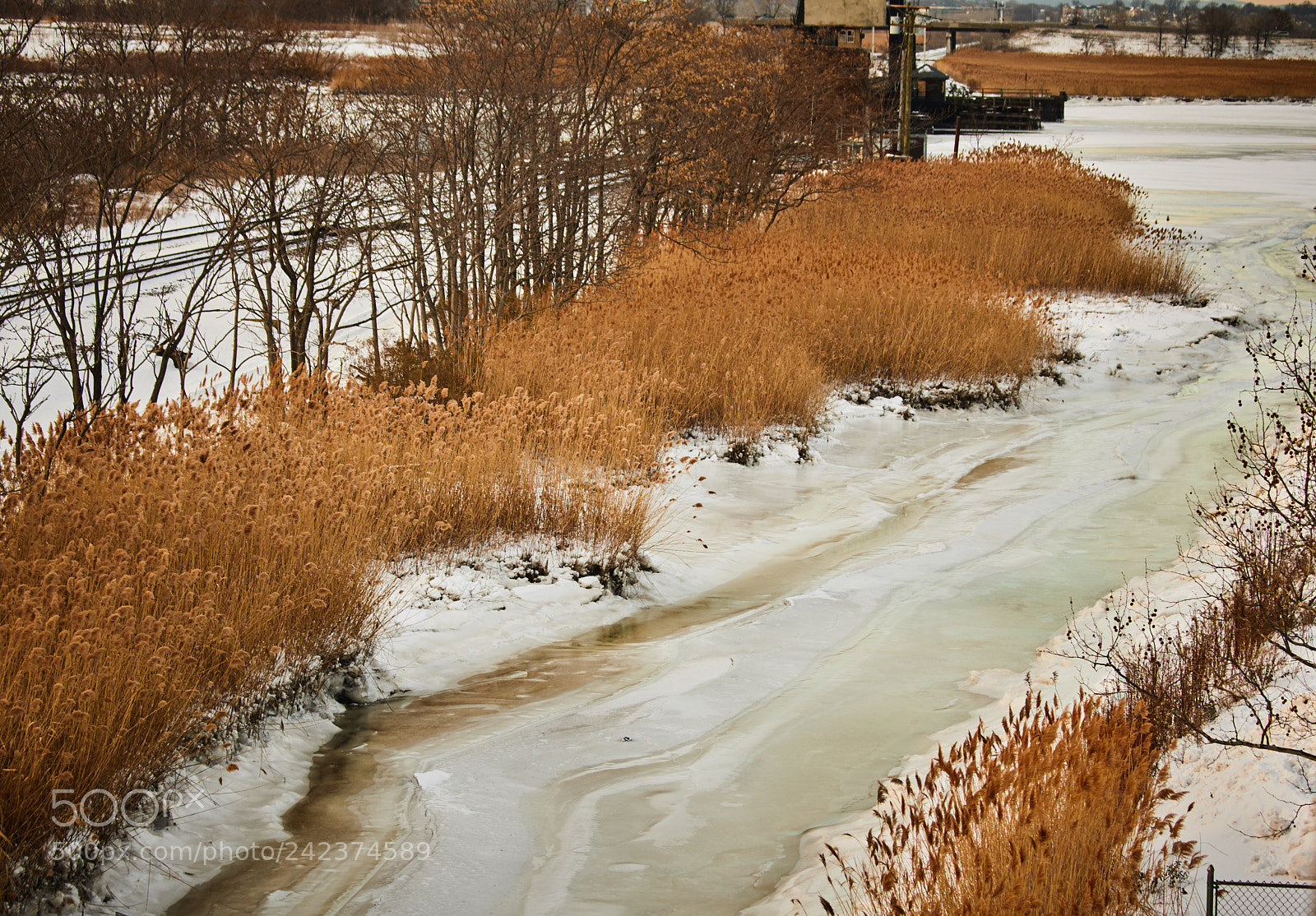 Canon EOS 750D (EOS Rebel T6i / EOS Kiss X8i) sample photo. Breaking ice photography