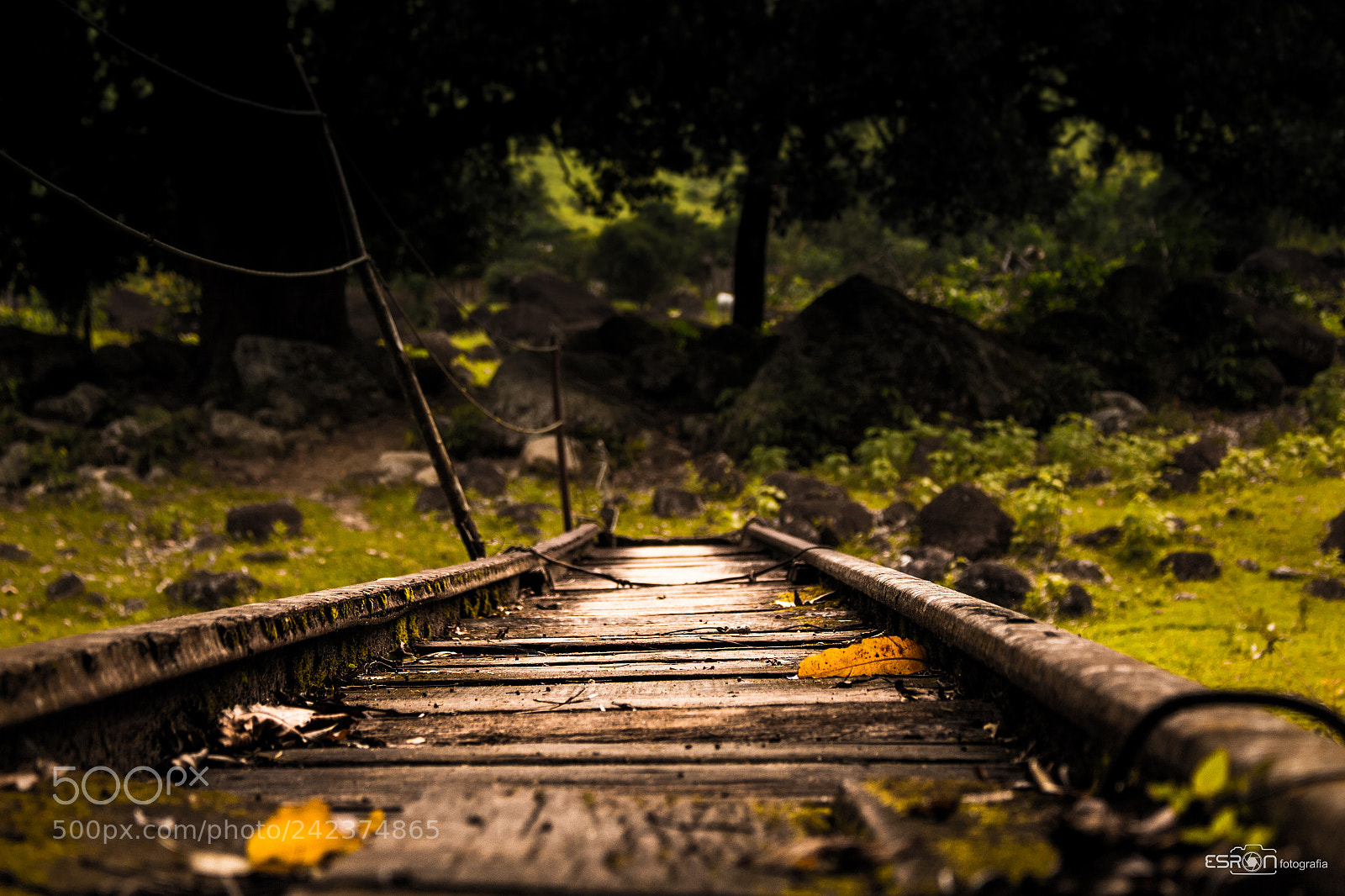 Canon EOS 700D (EOS Rebel T5i / EOS Kiss X7i) sample photo. Esron rodrigues photography