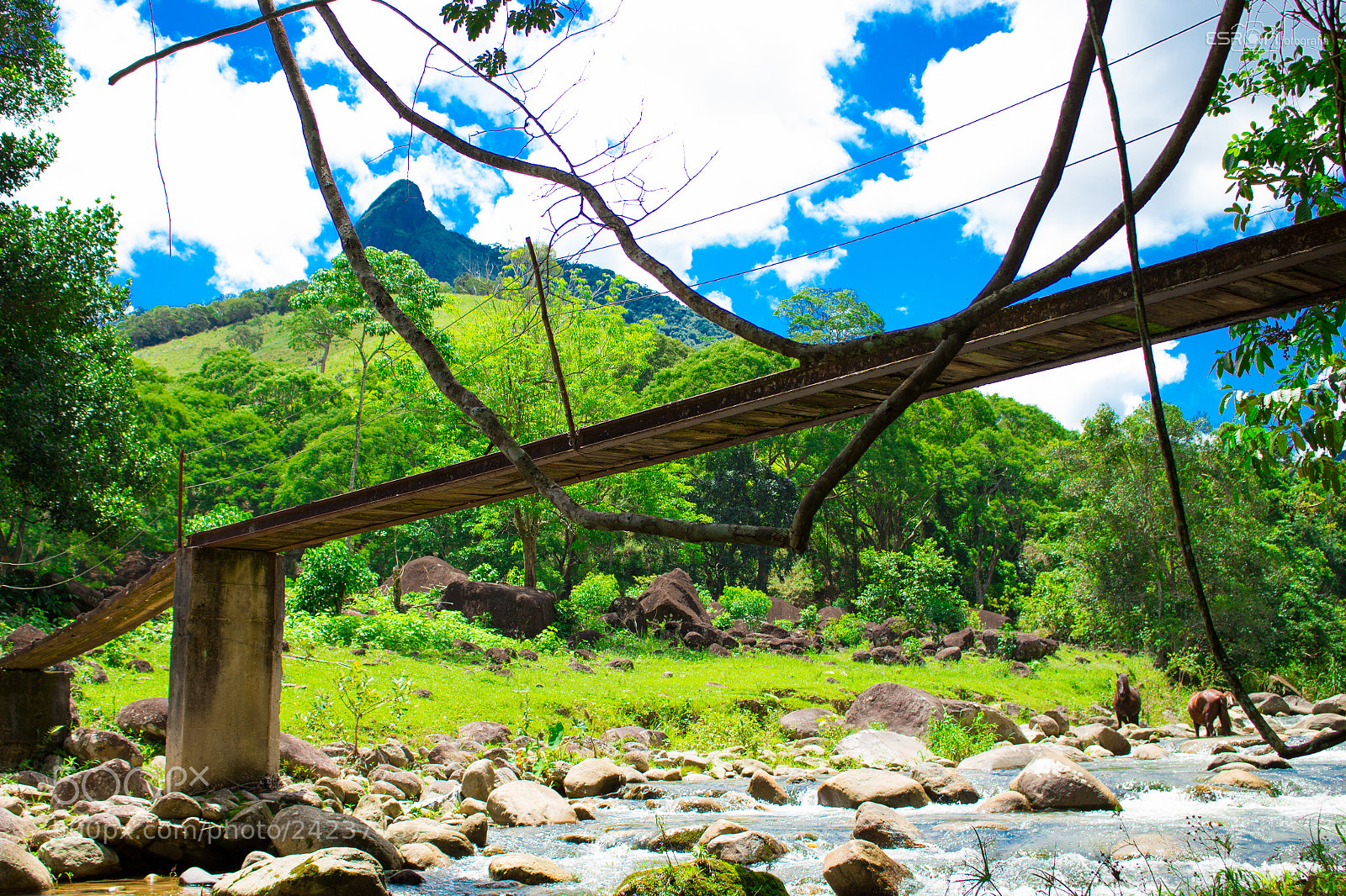 Canon EOS 700D (EOS Rebel T5i / EOS Kiss X7i) sample photo. Esron rodrigues photography