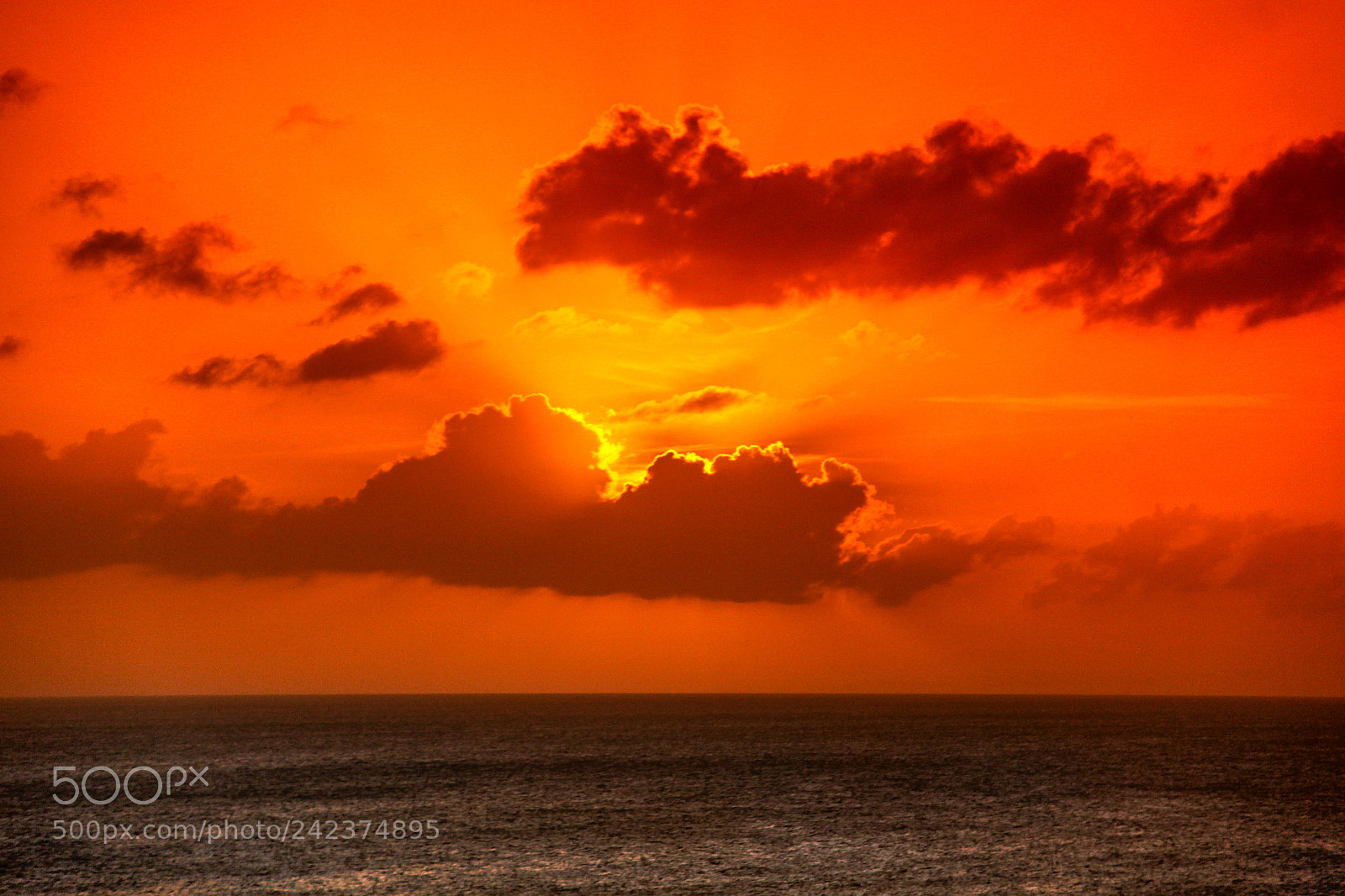 Canon EOS 50D sample photo. Caribbean life photography