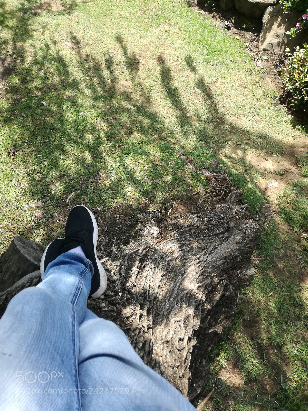 HUAWEI P9 LITE sample photo. Tree relaxation photography