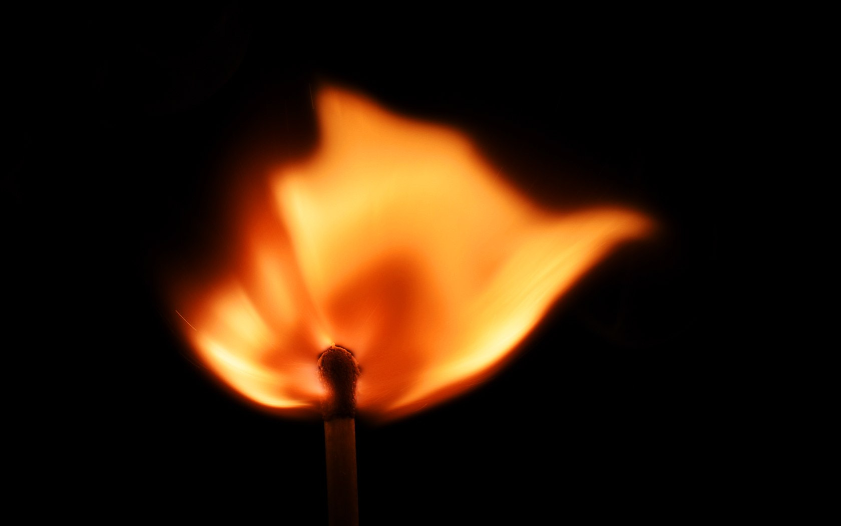 Nikon D7200 sample photo. Lighting a match photography