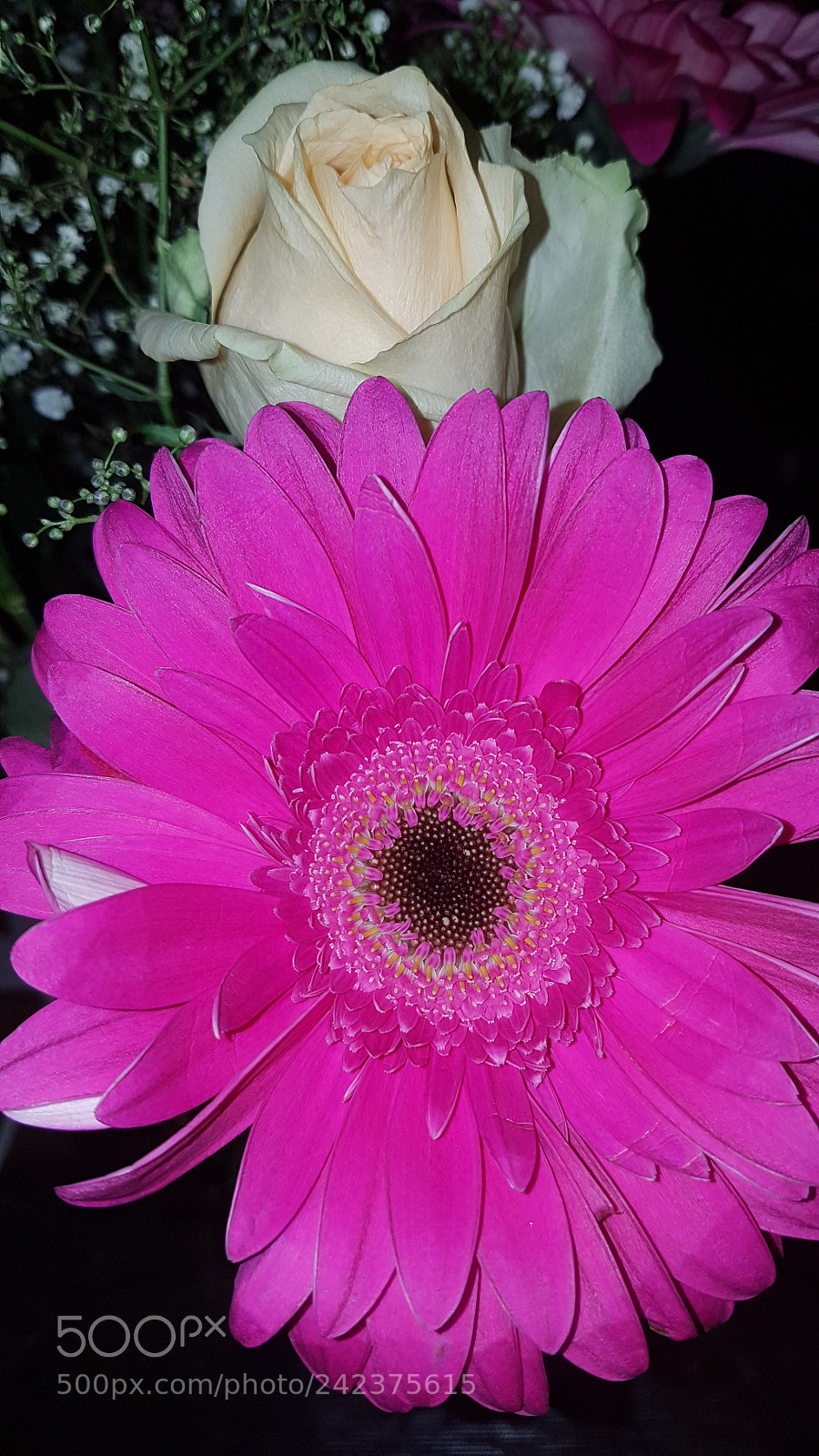 Samsung Galaxy S7 sample photo. Flowers photography