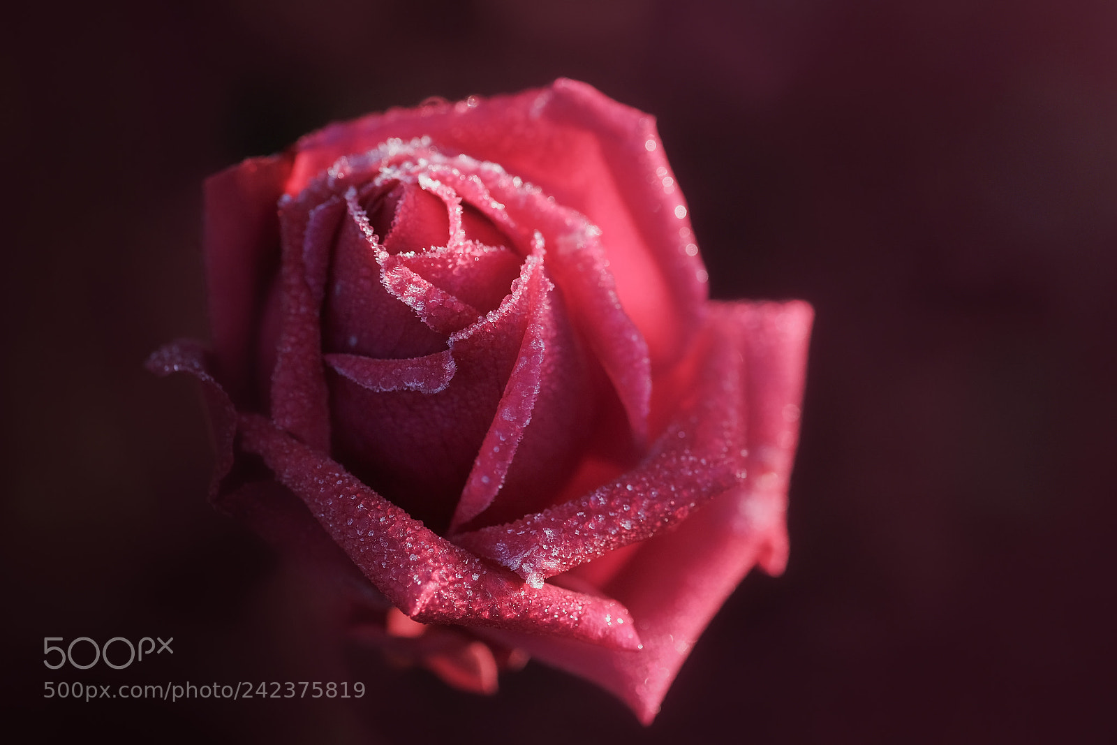 Fujifilm X-Pro2 sample photo. Glace et feu photography
