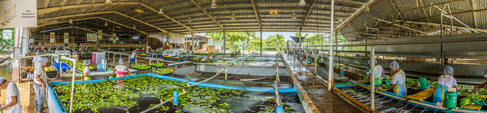 Sony a7R III sample photo. Guatemala banana factory panorama photography