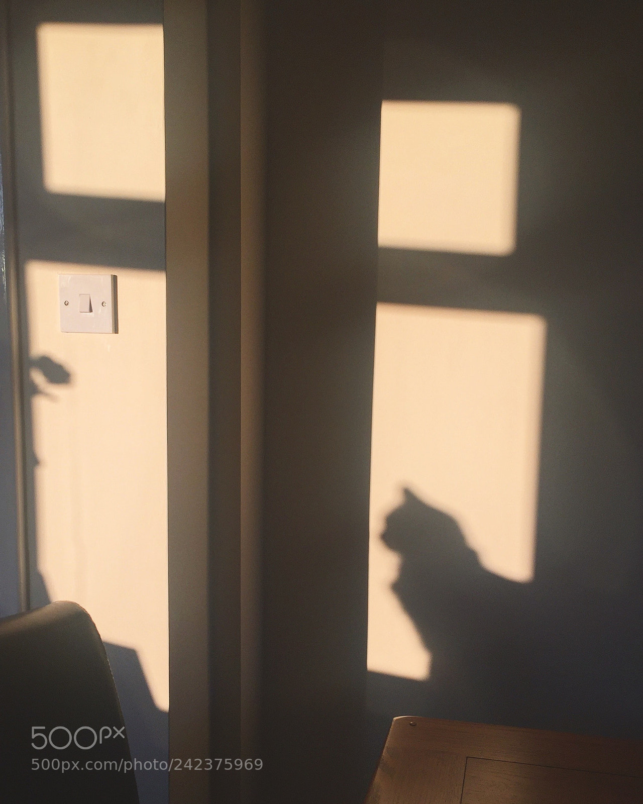 Apple iPhone 6 sample photo. Evening shadows photography