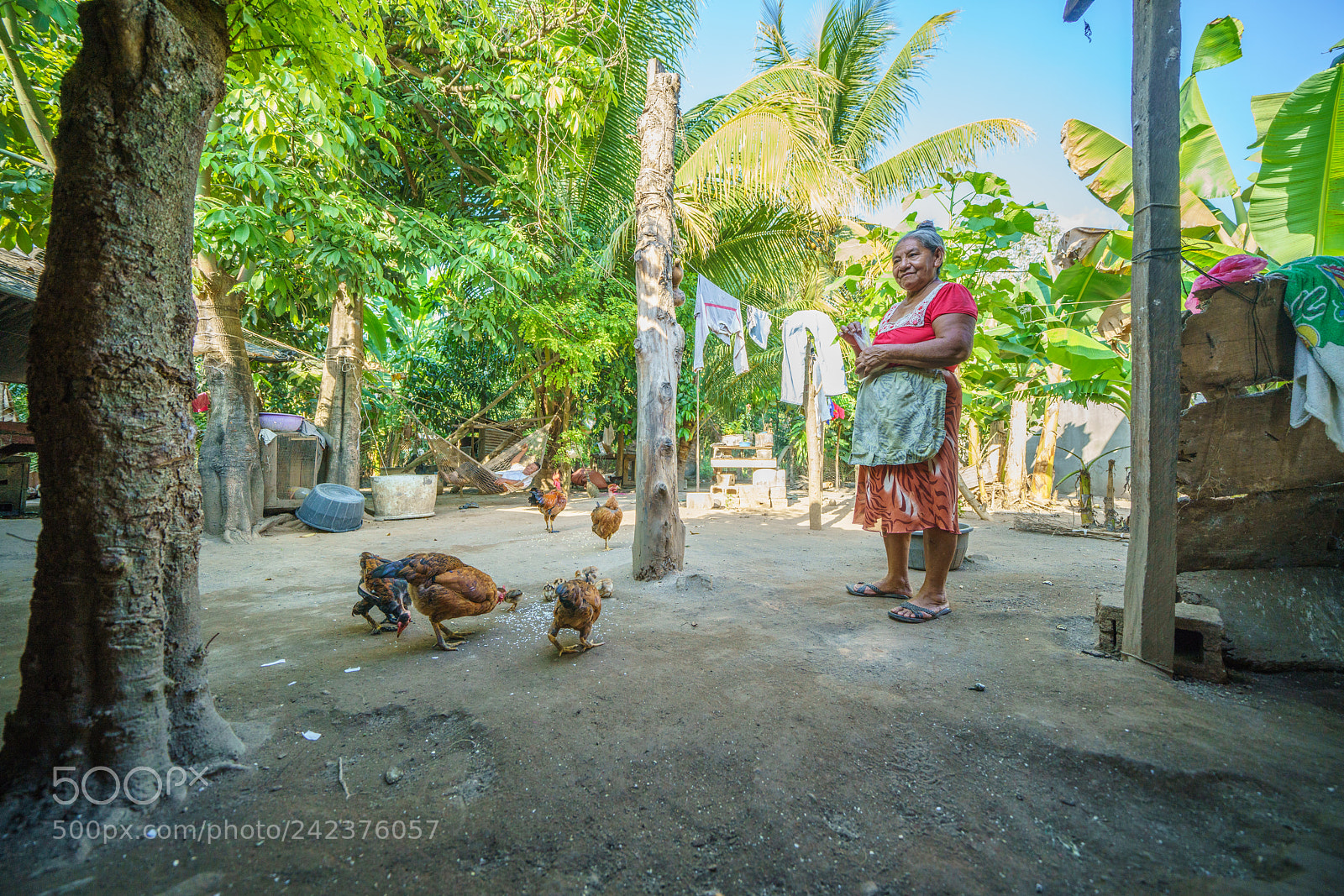 Sony a7R III sample photo. Guatemala woman feeding chickens photography