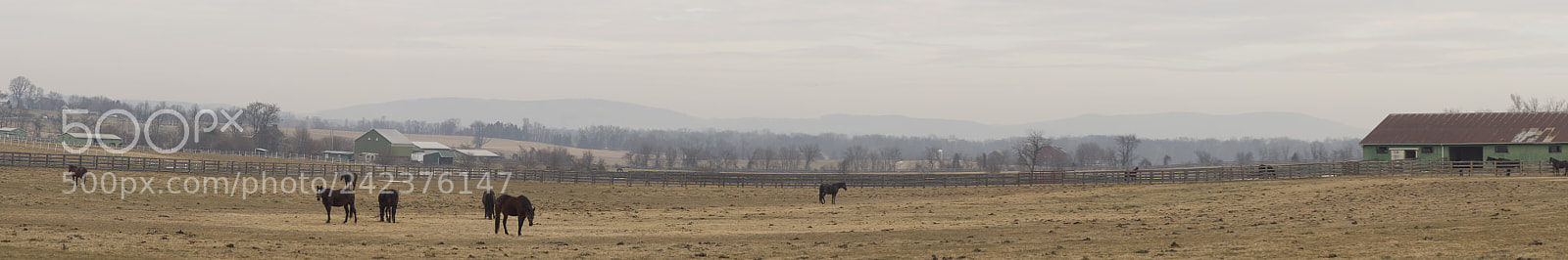 Pentax K-5 II sample photo. Panorama photography