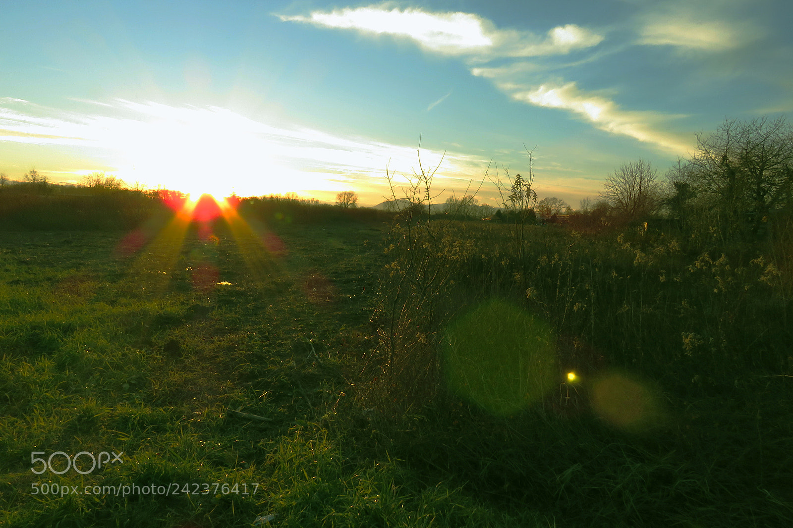Canon PowerShot SX60 HS sample photo. Sunny field photography