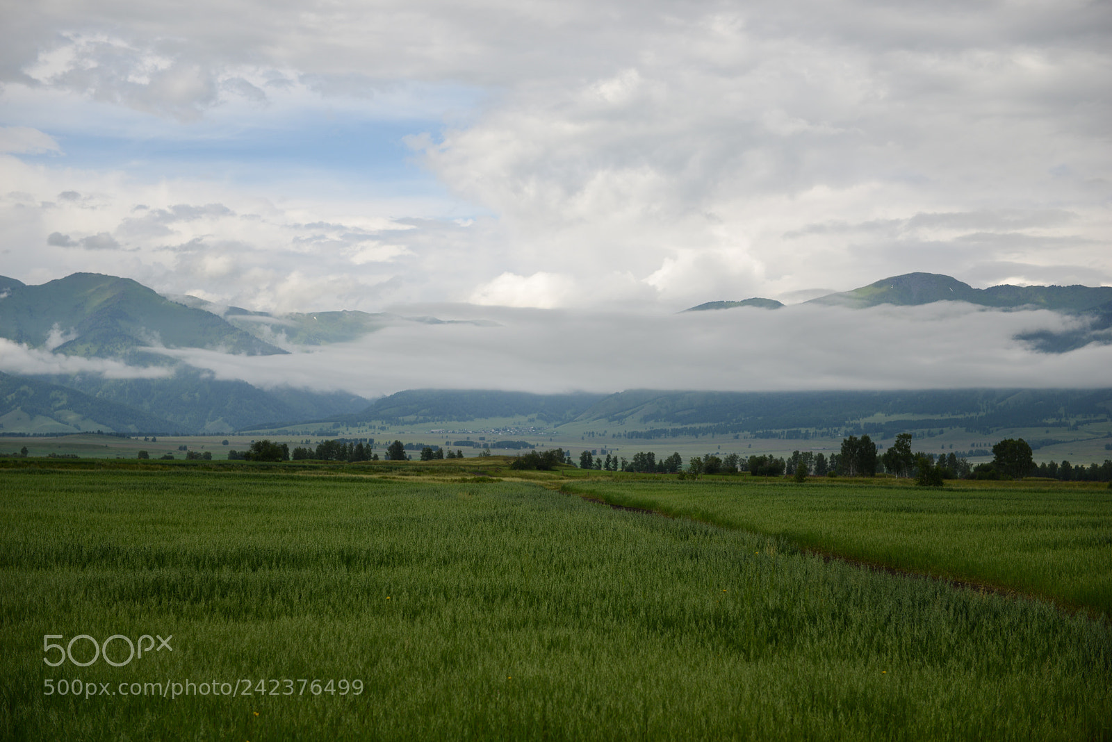 Nikon D800E sample photo. Altai photography