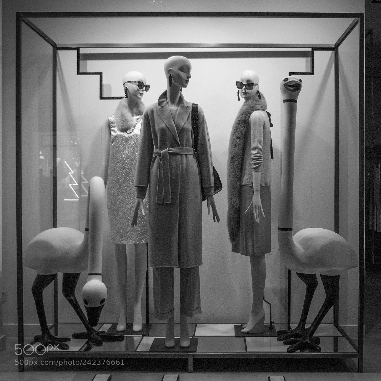 Sony Alpha DSLR-A200 sample photo. Showcase photography