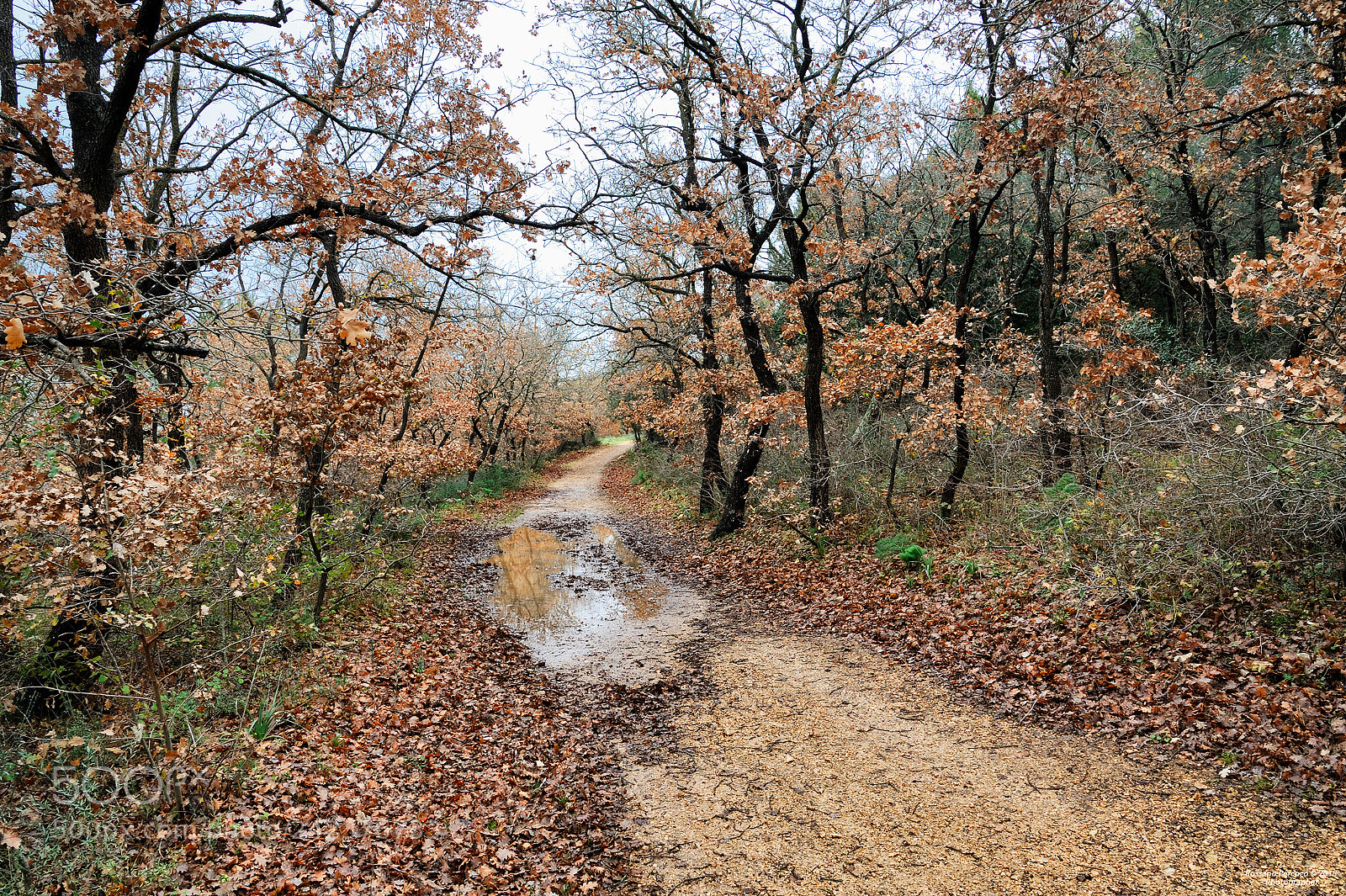 Nikon D700 sample photo. Attraversando il fango, fra photography