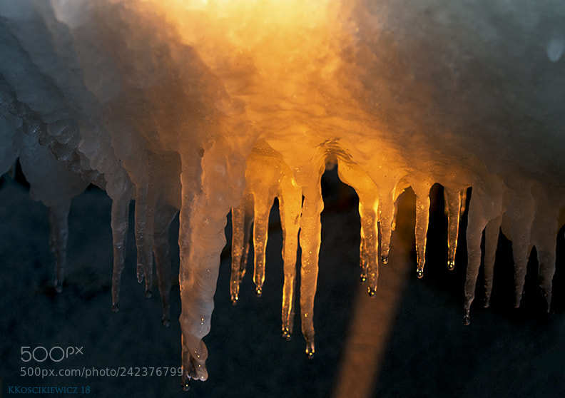 Nikon D300S sample photo. Sunset on ice photography