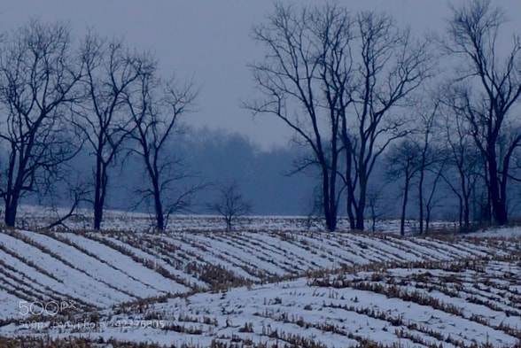 Sony Alpha NEX-6 sample photo. 52 weeks | week 2 | landscape photography