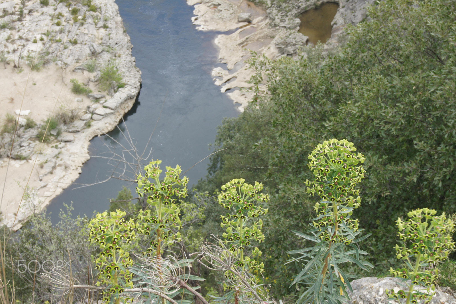 Sony Alpha DSLR-A550 sample photo. Ardèche photography