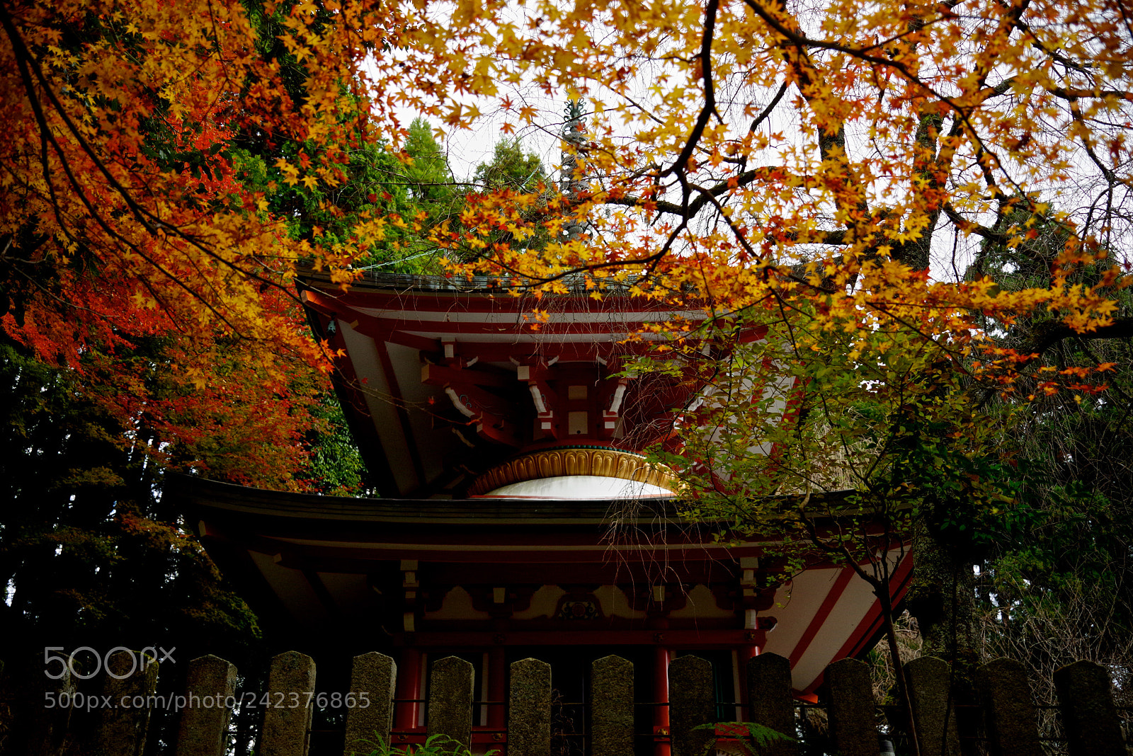 Pentax K-1 sample photo. Pagoda photography