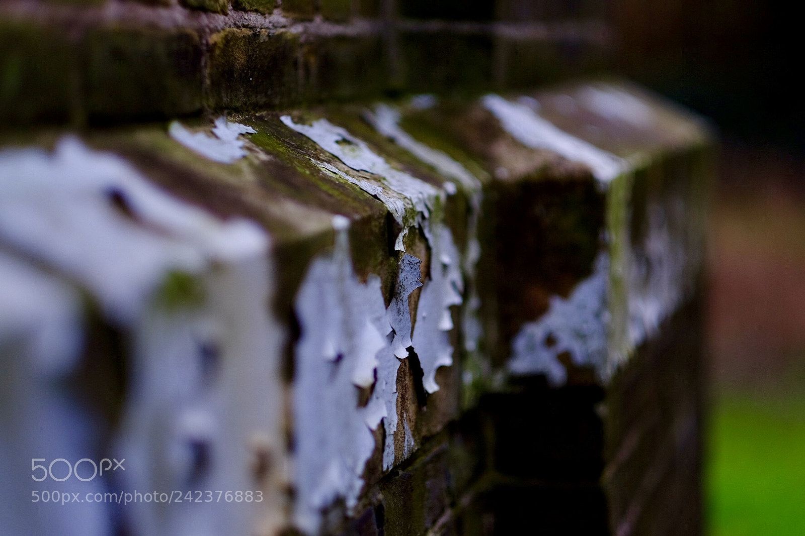 Fujifilm X-T10 sample photo. Decay photography