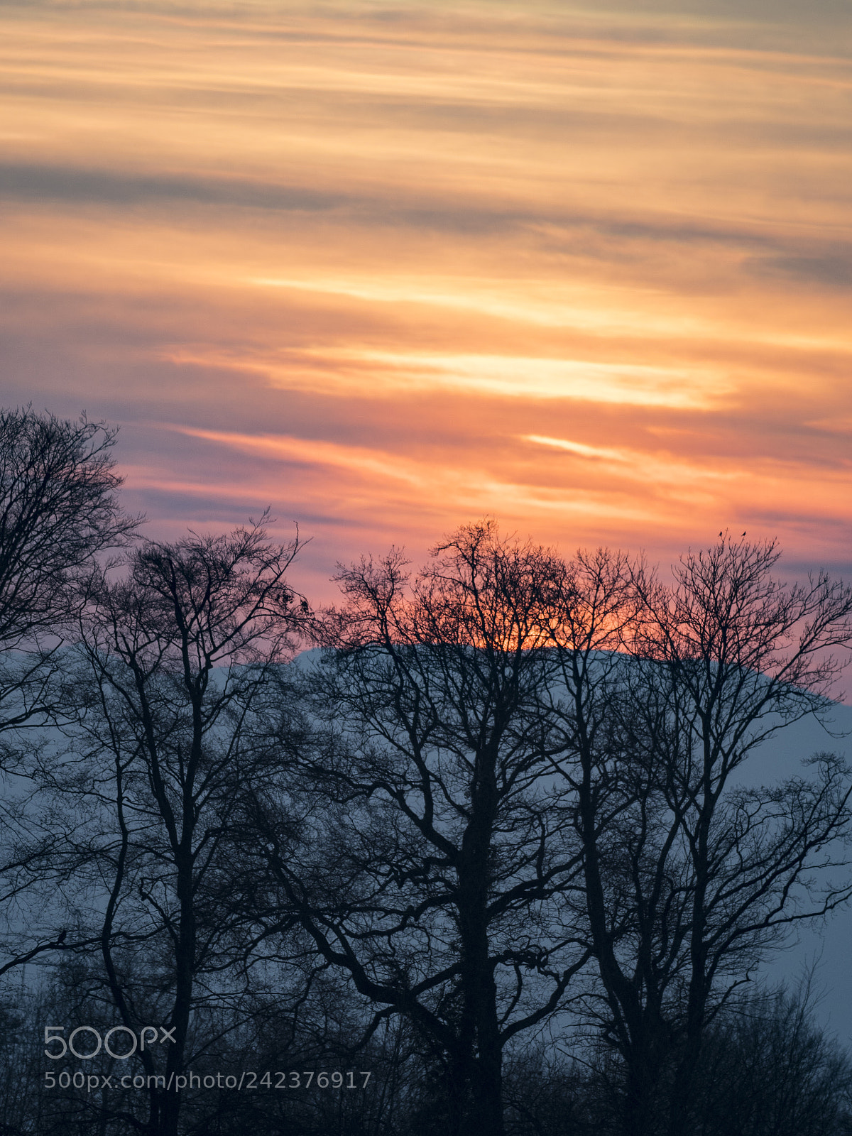 Olympus OM-D E-M1 Mark II sample photo. Sunset, aubonne photography