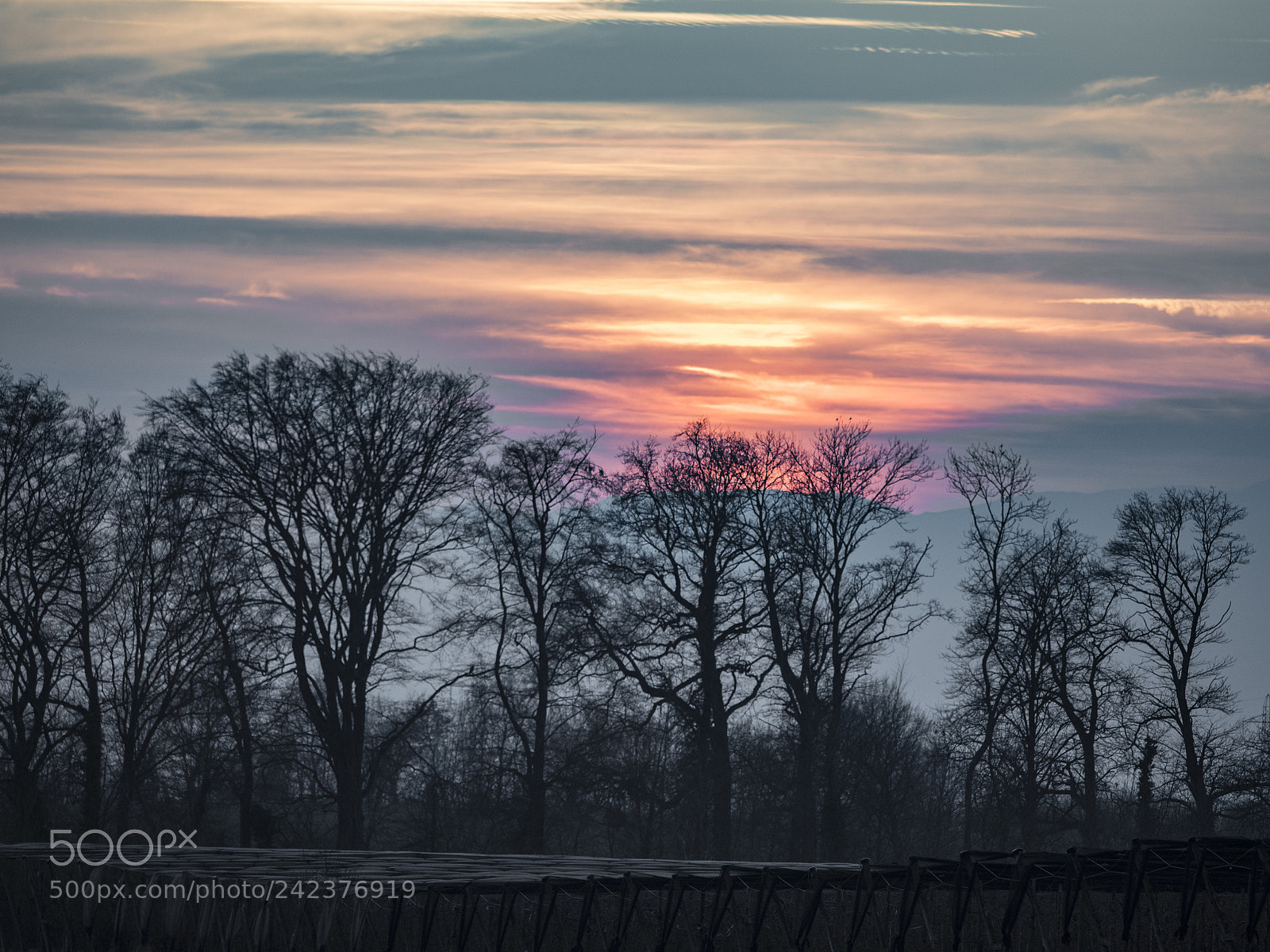 Olympus OM-D E-M1 Mark II sample photo. Sunset, aubonne 2 photography