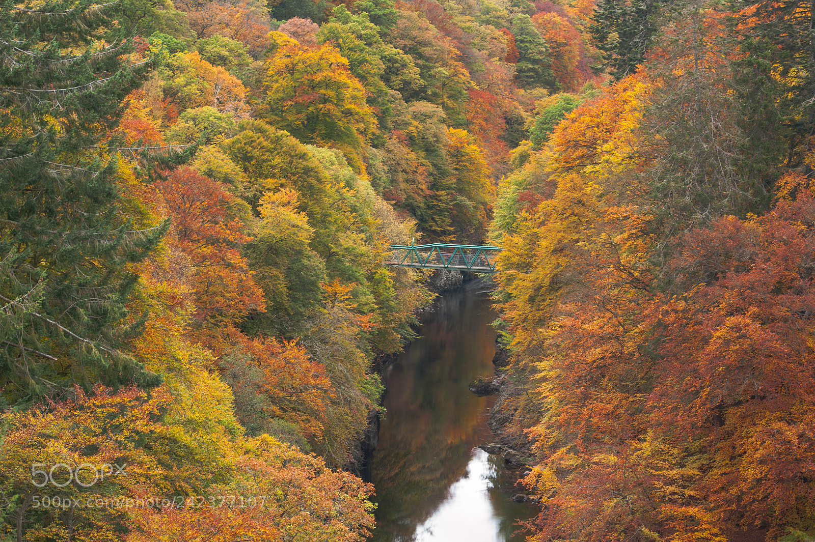 Nikon D700 sample photo. River gary photography