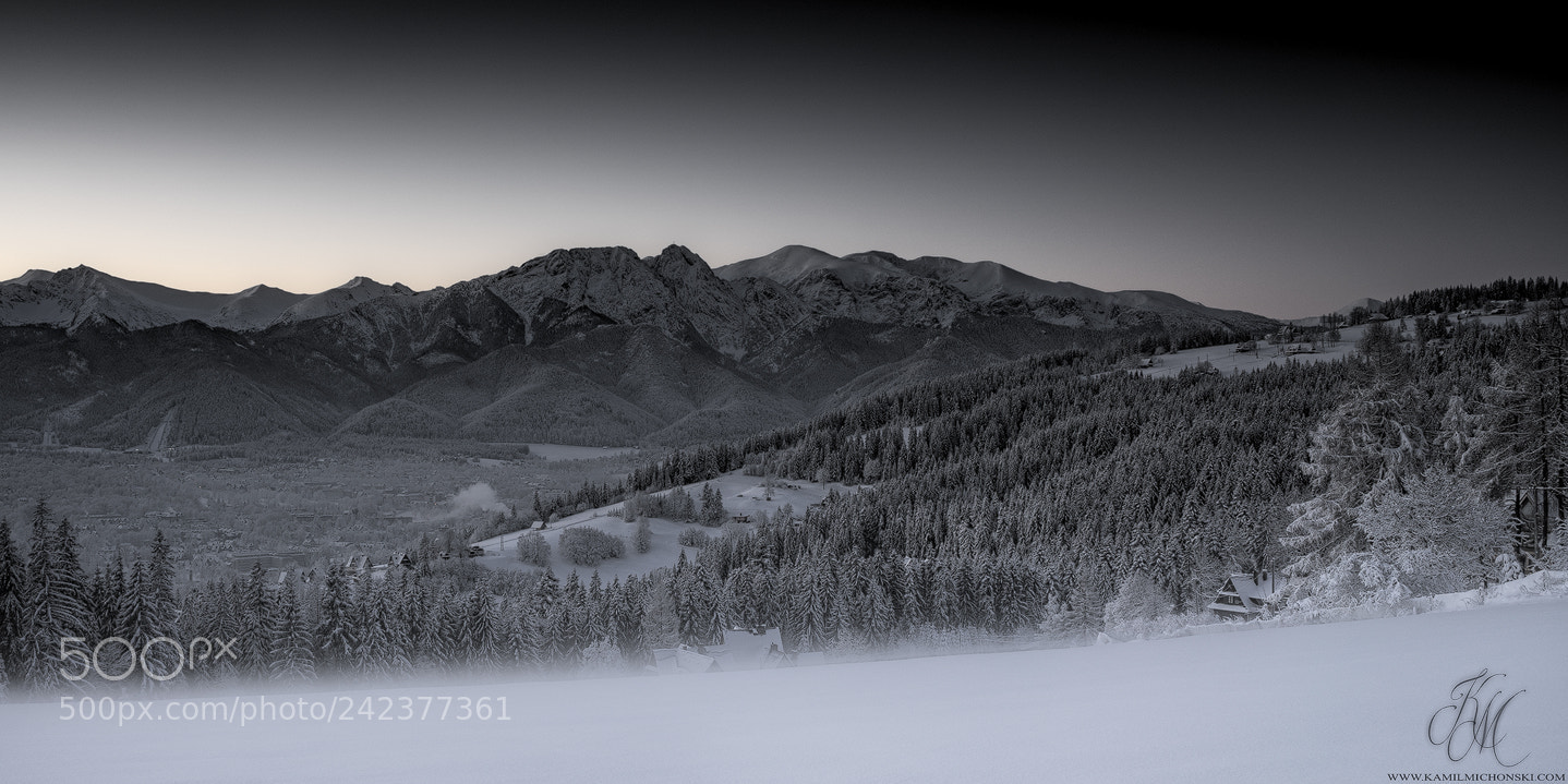 Sony a7 II sample photo. Winter wonderland. photography