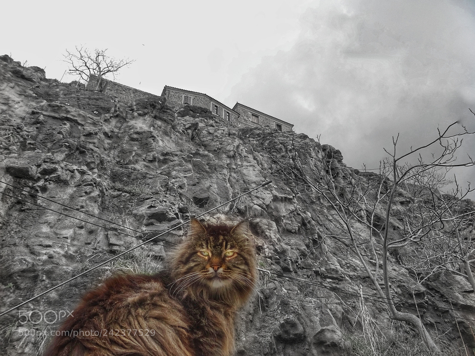 Sony DSC-HX60 sample photo. The guard of the photography