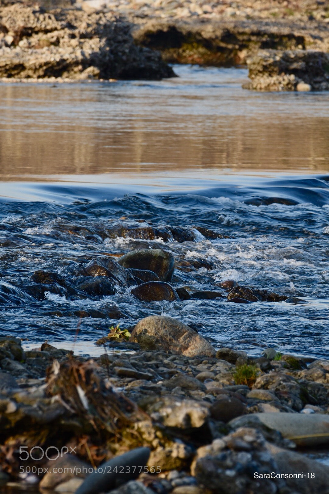 Nikon D7200 sample photo. Fiume photography