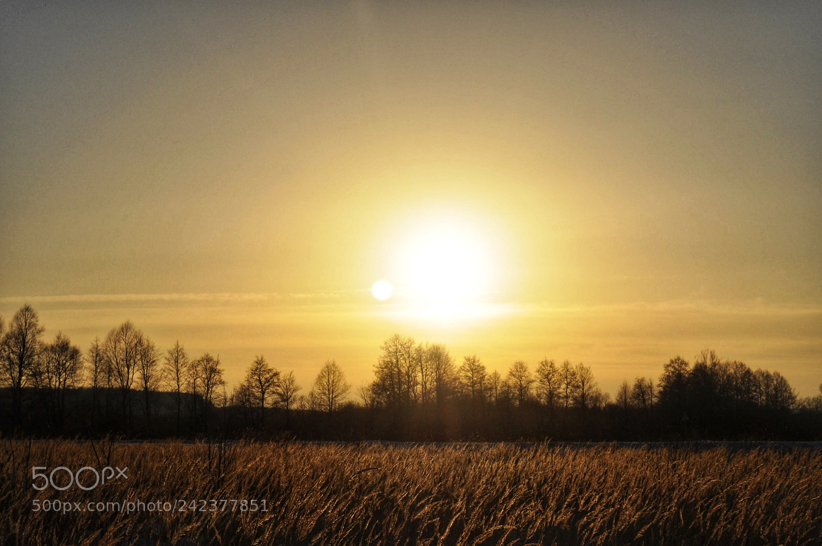Nikon D5000 sample photo. Untitled photography