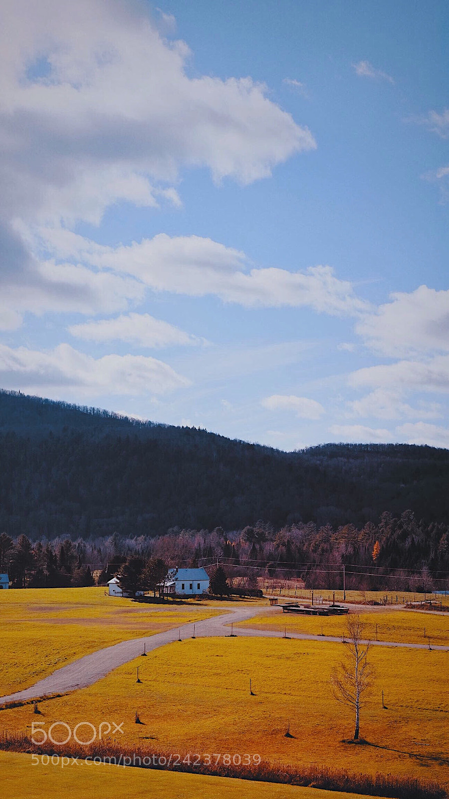 Fujifilm X-T20 sample photo. Untitled photography