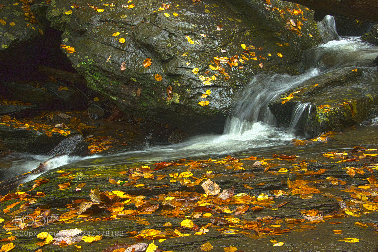Nikon D600 sample photo. Catawba falls hdr photography