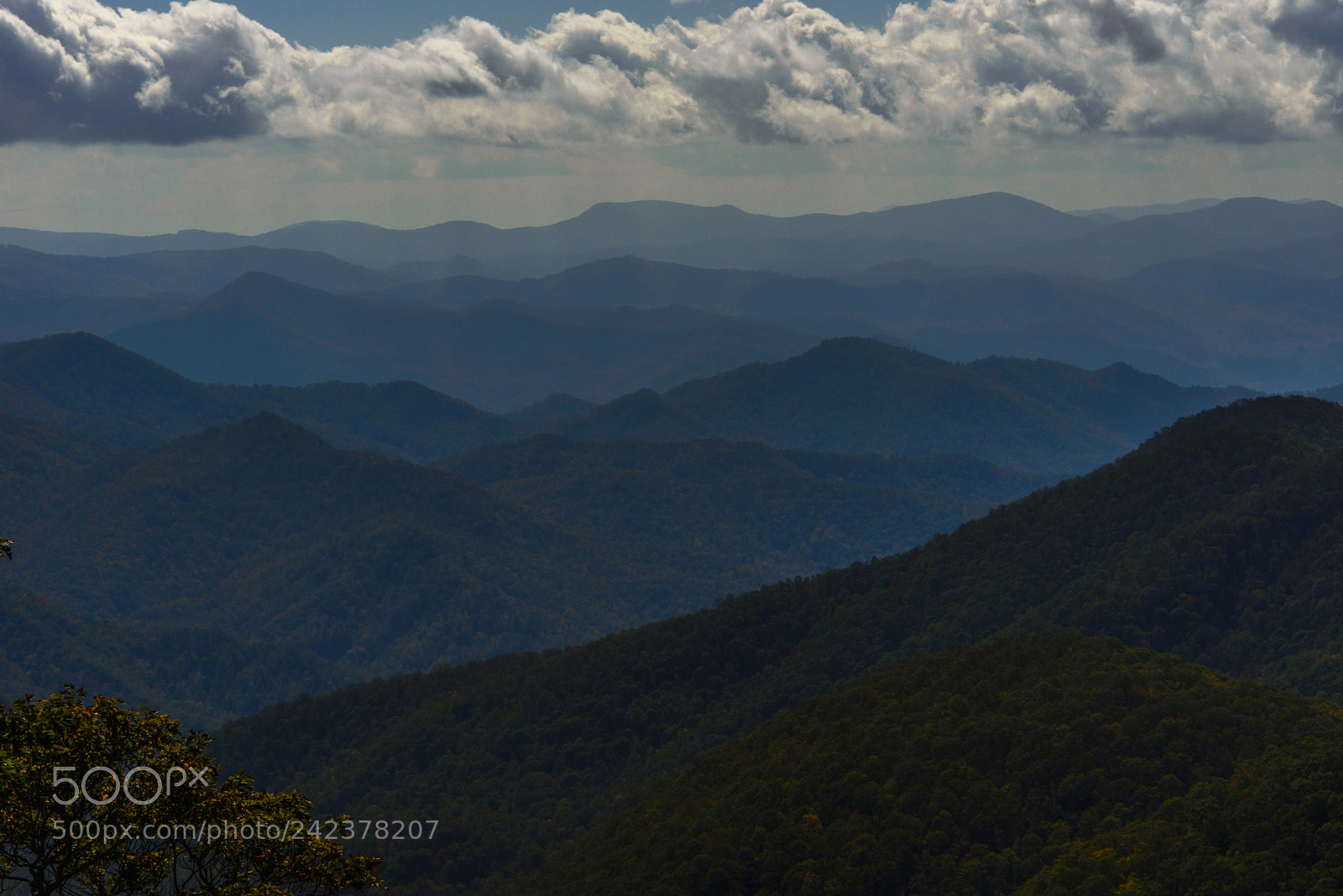 Nikon D600 sample photo. Blue ridge photography
