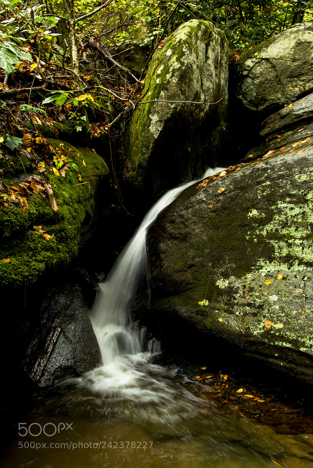 Nikon D600 sample photo. Catawba falls photography