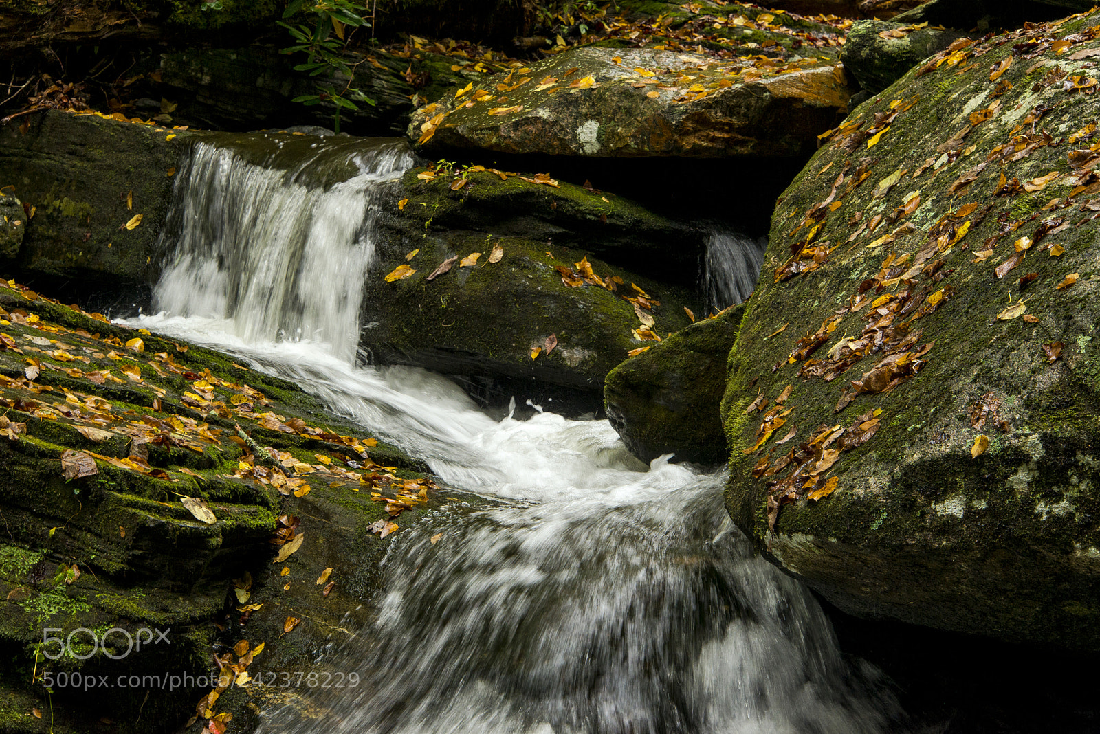 Nikon D600 sample photo. Catawba falls photography