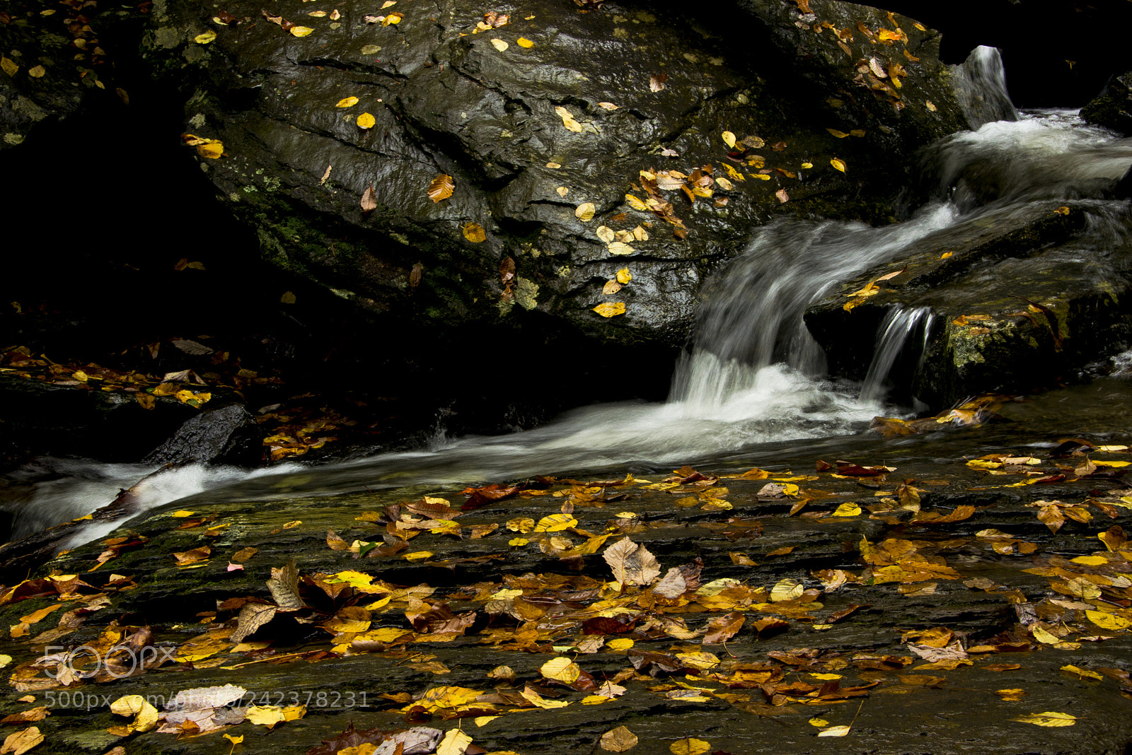 Nikon D600 sample photo. Catawba falls photography