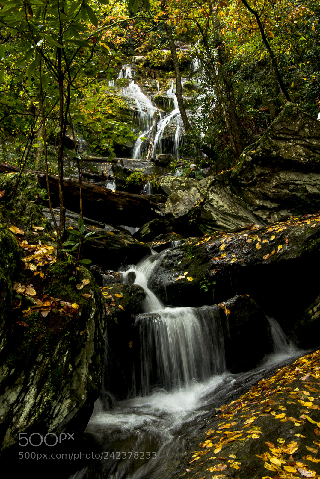Nikon D600 sample photo. Catawba falls photography