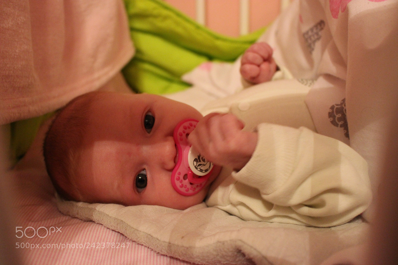 Canon EOS 100D (EOS Rebel SL1 / EOS Kiss X7) sample photo. Maia photography