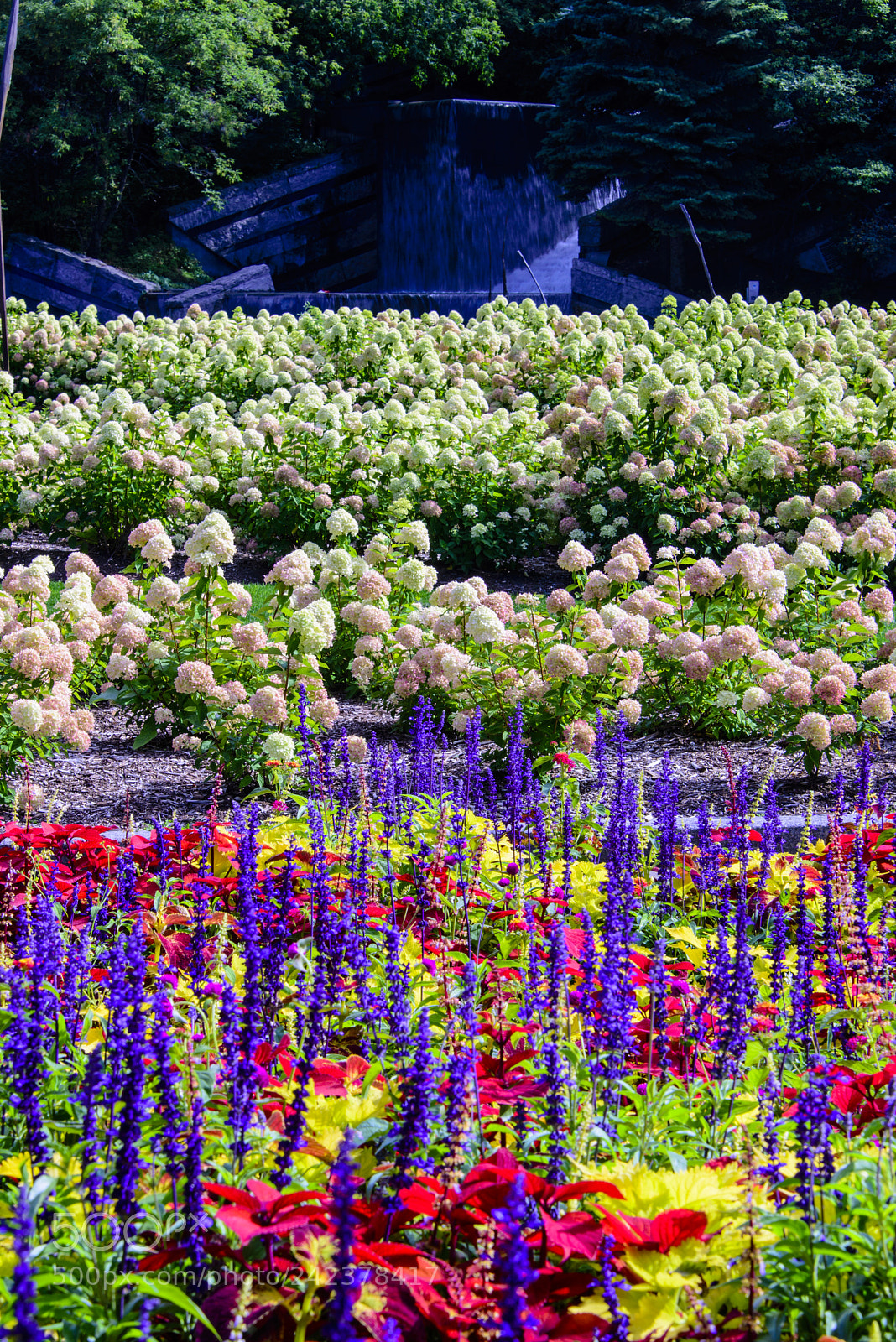 Nikon D600 sample photo. Jardin de saint roch photography